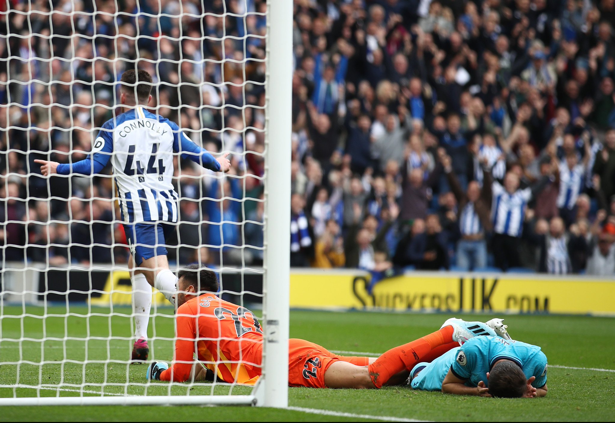 这一条款的 这一条款的